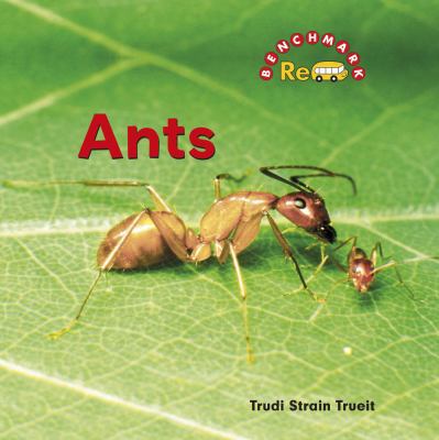 Ants 0761439617 Book Cover