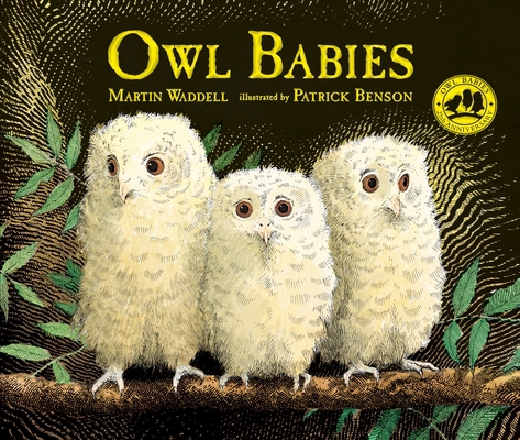 Owl Babies 076369519X Book Cover