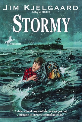 Stormy B00A2O2N2C Book Cover