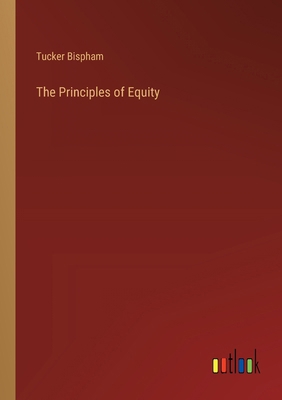 The Principles of Equity 3368845527 Book Cover