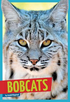 Bobcats 160753598X Book Cover