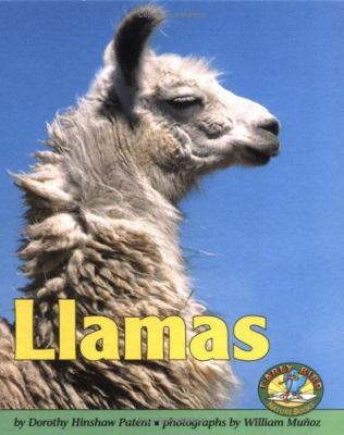 Llamas 0822500671 Book Cover