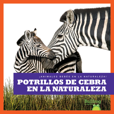 Potrillos de Cebra En La Naturaleza (Zebra Foal... [Spanish] B0BGNH4KL1 Book Cover