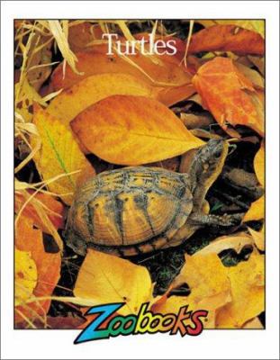 Turtles 0937934895 Book Cover