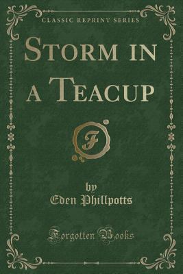 Storm in a Teacup (Classic Reprint) 1331749816 Book Cover