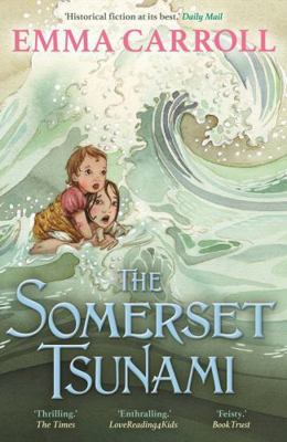 The Somerset Tsunami Book Cover