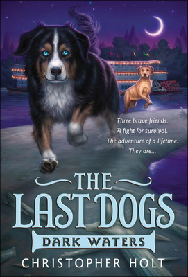Dark Waters 0606353089 Book Cover