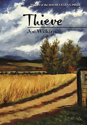 Thieve 0899241662 Book Cover