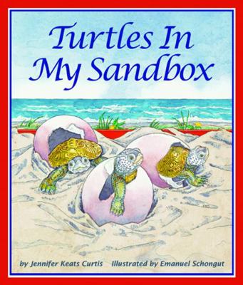 Turtles in My Sandbox 097688237X Book Cover