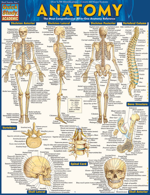 Anatomy - Reference Guide (8.5 X 11): A Quickst... 1423222784 Book Cover