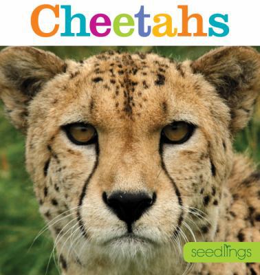 Seedlings: Cheetahs 1628320400 Book Cover