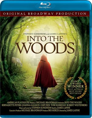Into the Woods: Stephen Sondheim            Book Cover