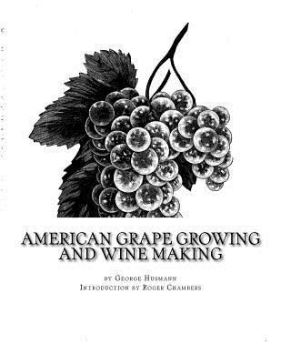 American Grape Growing and Wine Making 1545214018 Book Cover