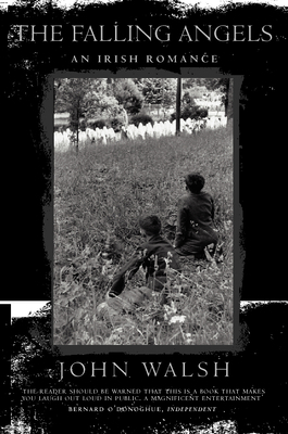 The falling angels: an Irish romance / John Walsh B08FG9KK2K Book Cover