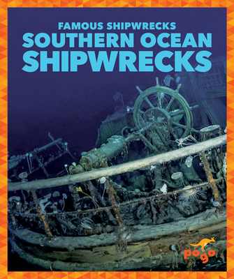 Southern Ocean Shipwrecks B0CJCQVSF3 Book Cover