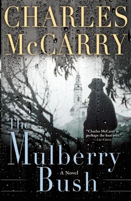 The Mulberry Bush 0802125573 Book Cover