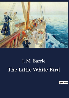 The Little White Bird B0CDFLBG6C Book Cover