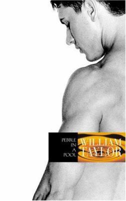 Pebble in a Pool: A Novel 1555837352 Book Cover