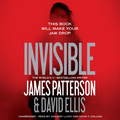 Invisible 147898421X Book Cover