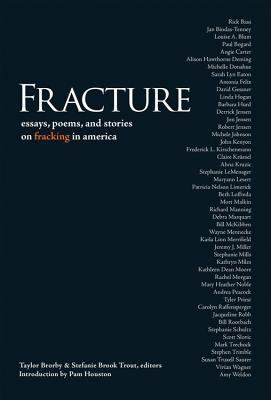 Fracture 188816090X Book Cover