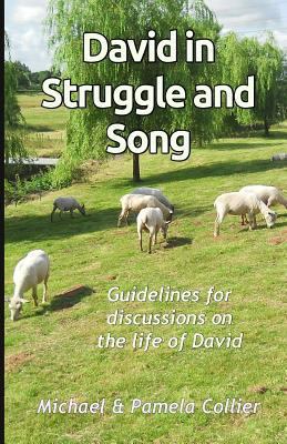 David in Struggle and Song: Guidelines for disc... 150290988X Book Cover