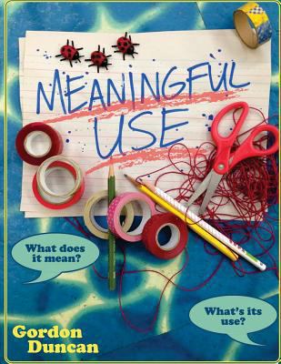 Meaningful Use: What Does It Mean? What's Its Use? 149094253X Book Cover