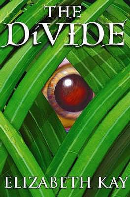 The Divide 1905294204 Book Cover