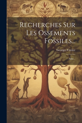 Recherches Sur Les Ossements Fossiles...: Atlas... [French] 1022376756 Book Cover