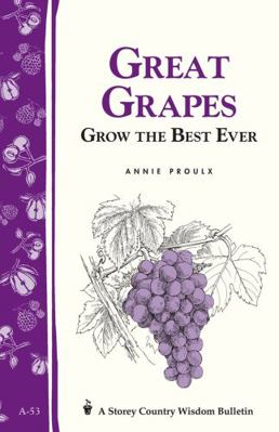Great Grapes: Grow the Best Ever / Storey's Cou... 0882662287 Book Cover