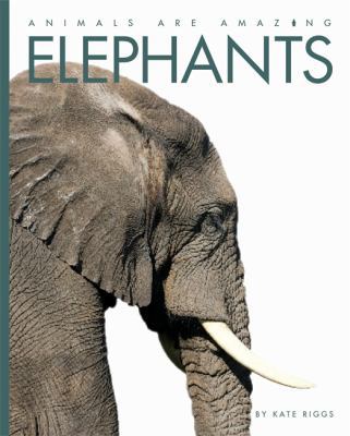 Elephants (Animals are Amazing) 1445119269 Book Cover