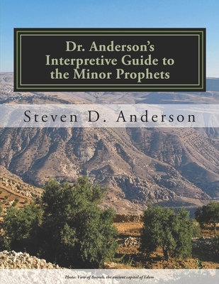 Dr. Anderson's Interpretive Guide to the Minor ... 1500745073 Book Cover
