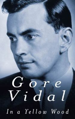 In a Yellow Wood 0349116997 Book Cover