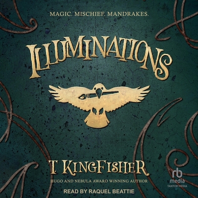 Illuminations B0CW52P56C Book Cover