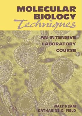 Molecular Biology Techniques: An Intensive Labo... 0125839901 Book Cover