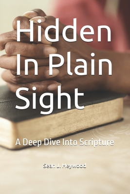 Hidden In Plain Sight: A Journey Through The Bible B0DFM15KY8 Book Cover