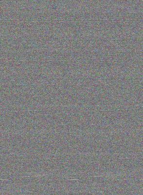 Talking Walls 0785774513 Book Cover