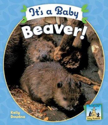 It's a Baby Beaver 1604530227 Book Cover