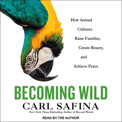 Becoming Wild Lib/E: How Animal Cultures Raise ... 1665261803 Book Cover