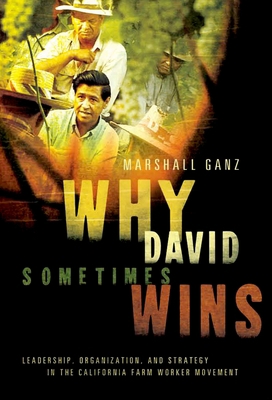 Why David Sometimes Wins: Leadership, Organizat... B00A2KI2PI Book Cover