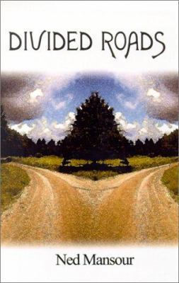 Divided Roads 0759652880 Book Cover