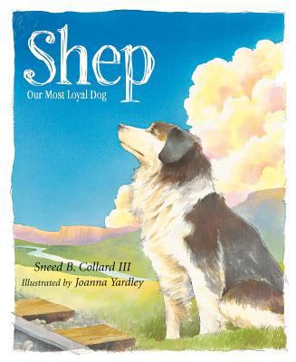 Shep: Our Most Loyal Dog 158536259X Book Cover