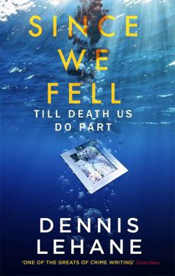 Since We Fell 0349142246 Book Cover