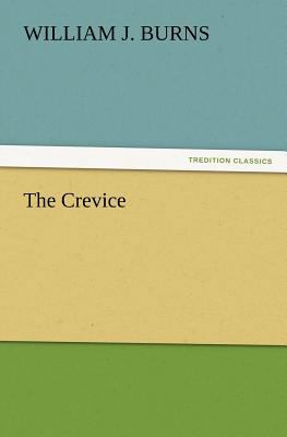 The Crevice 3847223526 Book Cover