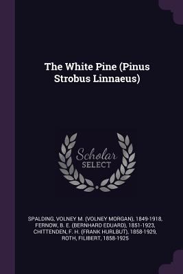 The White Pine (Pinus Strobus Linnaeus) 137919816X Book Cover