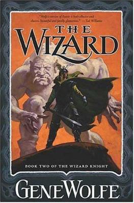 The Wizard: Book Two of the Wizard Knight 0765312018 Book Cover