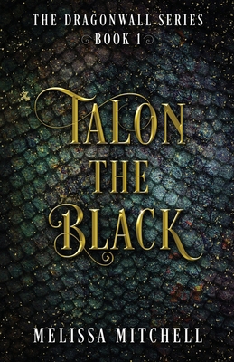 Talon the Black: A Slow Burn Fantasy Series B0D1ZVNFHL Book Cover