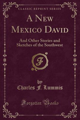 A New Mexico David: And Other Stories and Sketc... 1331797489 Book Cover