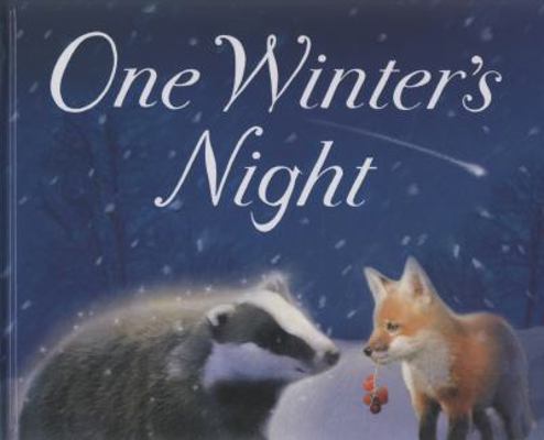 One Winter's Night 1845069714 Book Cover