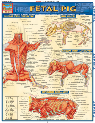 Fetal Pig 1423201779 Book Cover