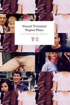 Peyton Place: A Haiku Soap Opera 1933527811 Book Cover